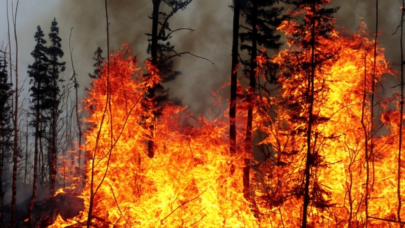 Оранжев и жълт код за опасност от пожари е обявен