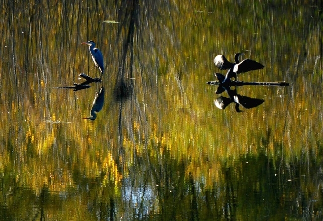 Днес ще има разкъсана висока преди обяд в низините значителна