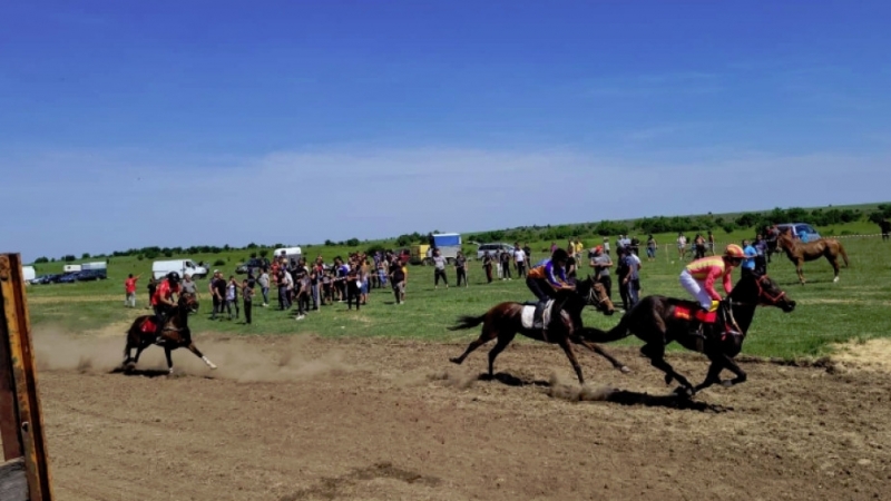 Традиционен селски събор на конния спорт "Мърчевска кушия" се проведе