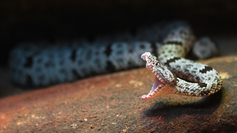 Мъж от Благоевград е настанен в реанимацията на многопрофилната болница