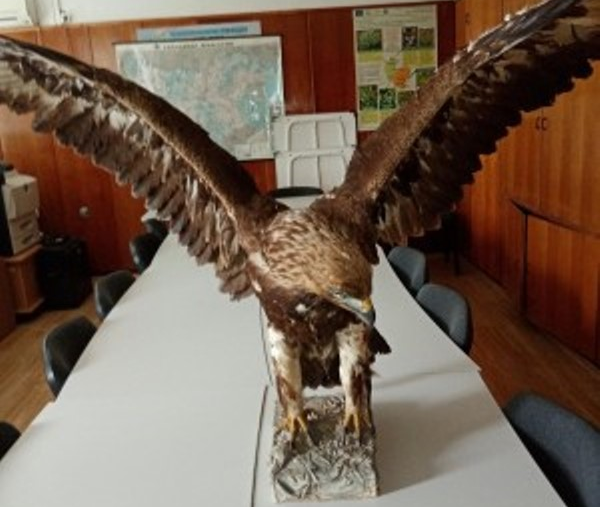 На 19 08 2020 г експерти от РИОСВ Монтана съвместно с