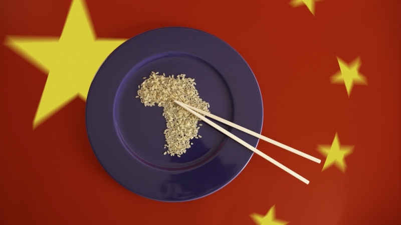 Технологичният център в Шенжен Южен Китай забранява консумацията на кучета