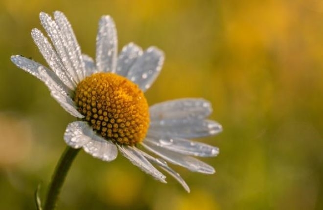 Вижте прогнозата за времето през следващите дни