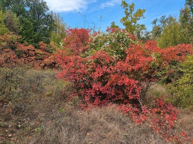 Днес ще бъде слънчево В сутрешните часове само на места