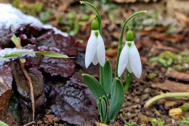 През нощта ще бъде ясно и почти тихо В сутрешните