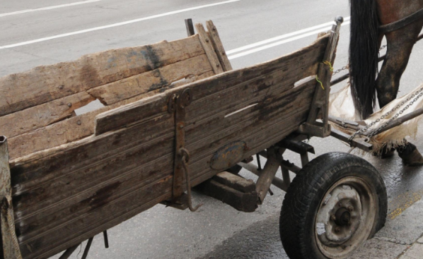 17 годишно момче е с опасност за живота след падане от каруца