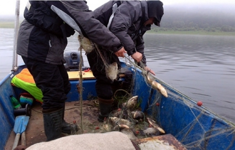 Служителите на Изпълнителната агенция по рибарство и аквакултури ИАРА ще