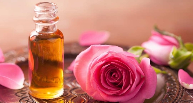 Заплаха за българското розово масло заради регламент който се подготвя