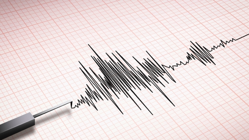 Земетресение от 4-та степен по Рихтер е ударило и Босна