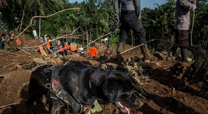 Свлачище предизвикано от проливни дъждове причини смъртта на над 50