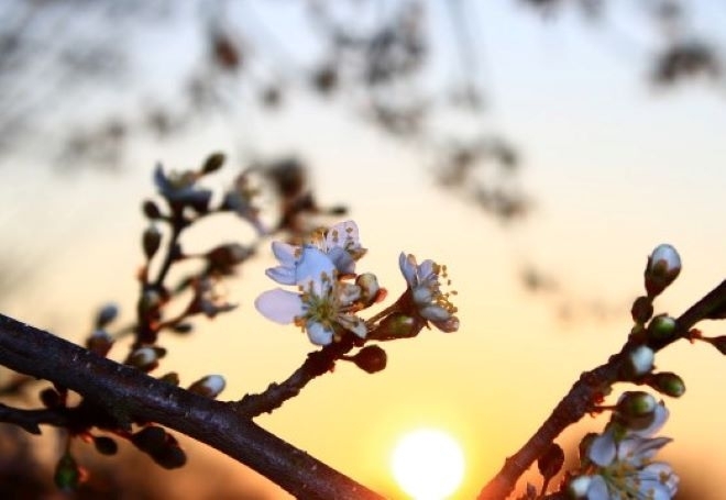 През нощта облачността ще намалее Вятърът в Северна България ще