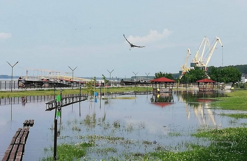 Нивото на Дунав в началото на българския участък на реката