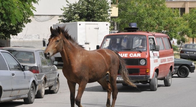 9 годишно момче е с черепно мозъчна травма в болница в Русе