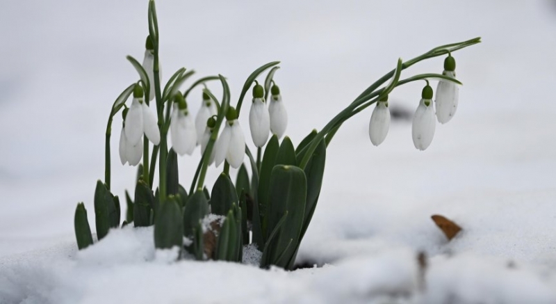 Февруари често е месецът в който зимата показва най суровото