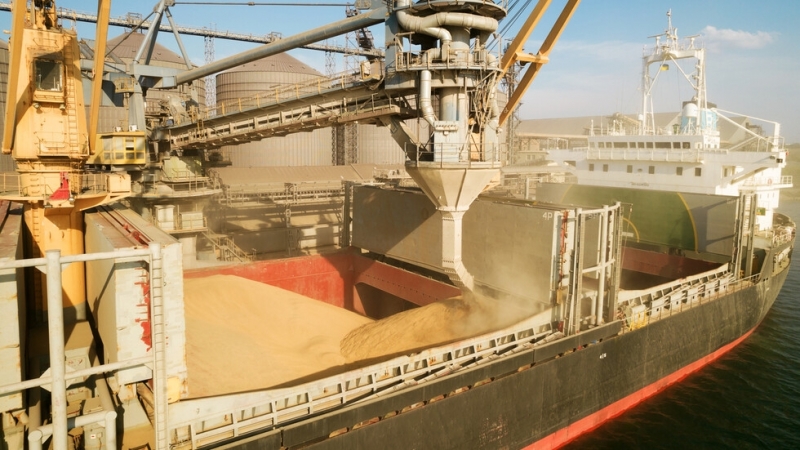 От украинските пристанища Южни и Черноморск тази сутрин са отплавали