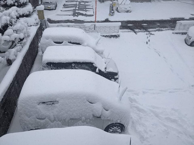 Силен снеговалеж причини днес задръствания отмяна на полети и нарушения