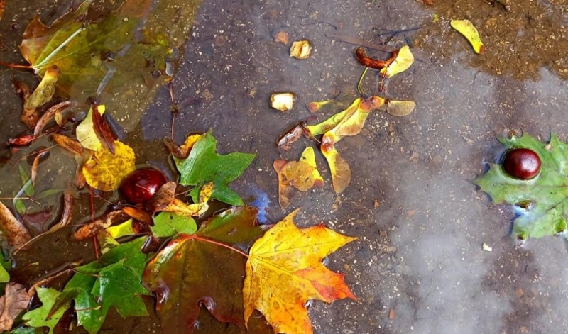 Сутринта в събота облачността ще е значителна на отделни места