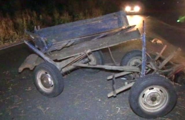 Сблъсък между мотор и конска каруца изпрати двама мъже в болница