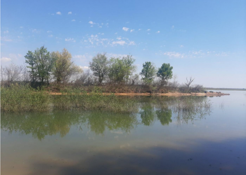 Вчера по предложение на областния управител на Видин Любен Иванов