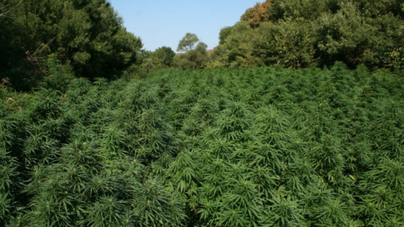 Окръжна прокуратура Монтана внесе за разглеждане в съда обвинителен