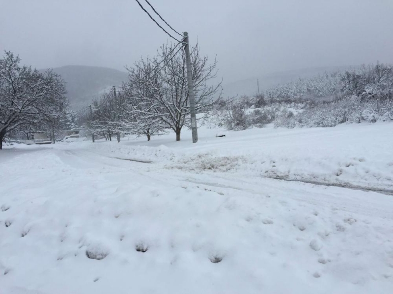 Падналият сняг през изминалата нощ е скъсал далекопровод във видинското село Рабиша
