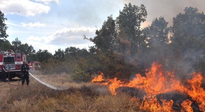 Огнеборци гасиха пожар в землище в Лом съобщиха от областната