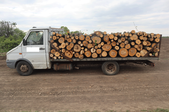 Ченгета са задържали 17 души за незаконна сеч във Видинско