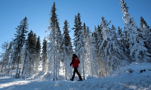 През следващото денонощие над по голямата част от страната времето