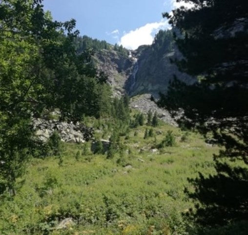 Планинските спасители от отряда в Дупница помогнаха на туристка от