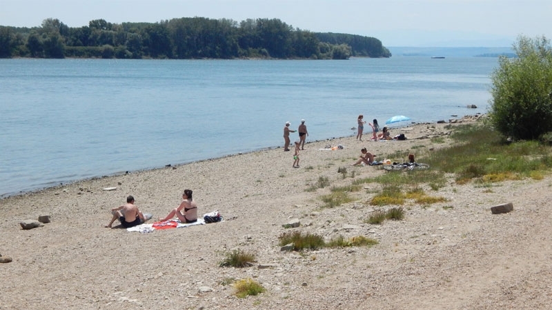 Готови са пробите от изследването на качеството на водите на река Дунав край Видин