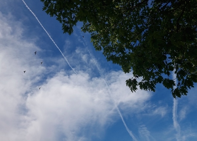 През деня ще духа до умерен северозападен вятър Максималните температури