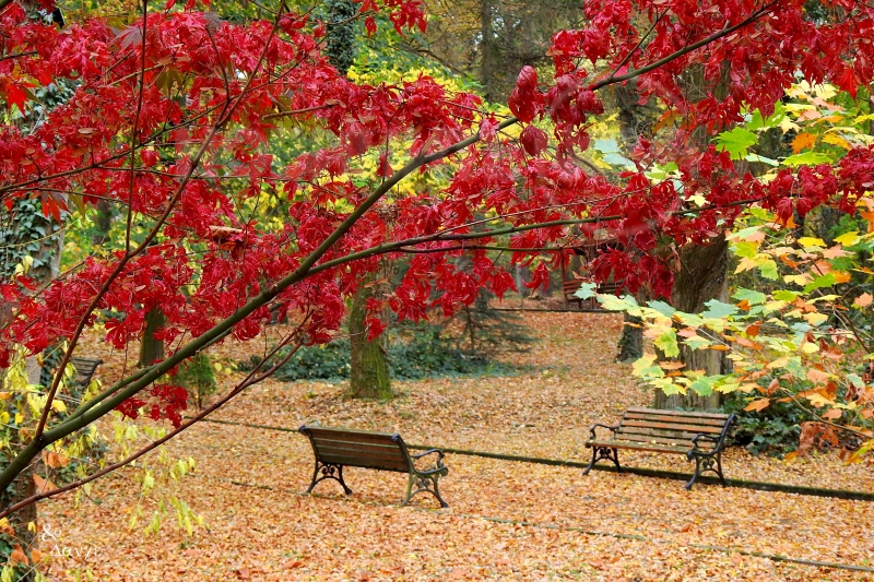 Прогноза: Ето какво време ни очаква до края на тази и през следващата седмица