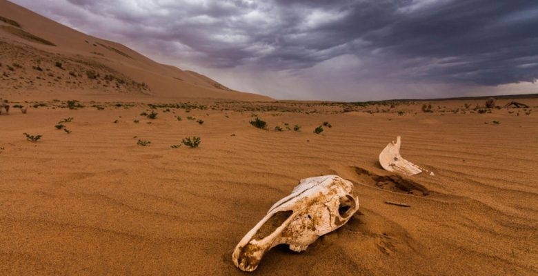 В Бразилия започна Световният форум за водата ООН и голям
