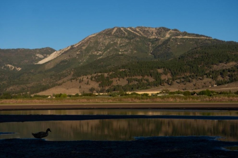 Водолази от Бургас помагат на полицията при издирването на 30 годишен мъж