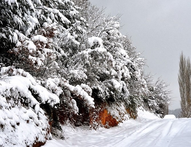 Силният снеговалеж през последните 24 часа остави без ток няколко