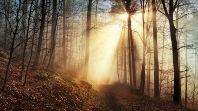 В събота на много места в равнините и котловините ще