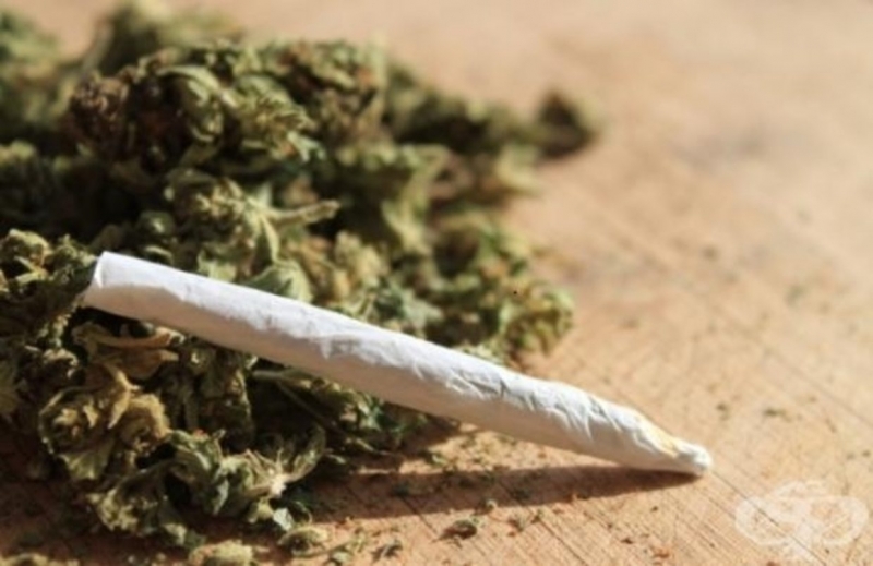 Спипаха младеж с чай за пушене в Лом