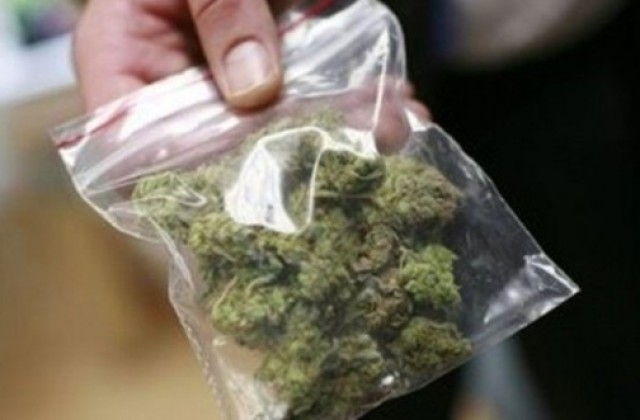 Полицаите сгащиха 25 годишен с трева в Монтанско научи BulNews Вчера