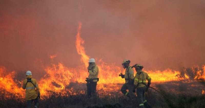 Пожар унищожи 10 дка ечемик във Видинско съпбщиха от полицията
