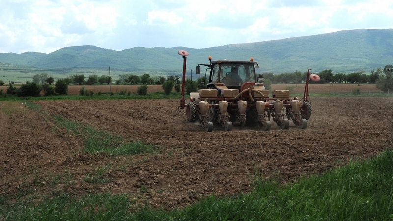 226 регистрирани земеделски производители от Видинска област са получили субсидии