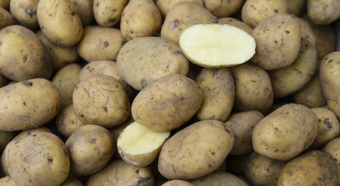 Най малко осем души загинаха в Индия затрупани от картофи Зеленчуците