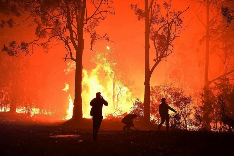 Силните природни пожари в Австралия доведоха до закриването на редица