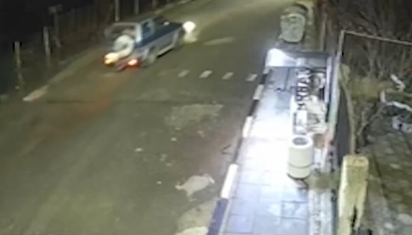 Неизвестен прегази с автомобила си ловно куче пред очите на