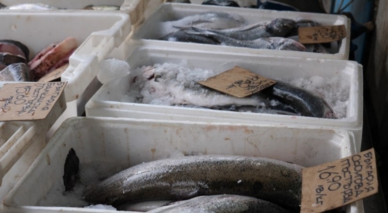 Преди Никулден: Българската риба изчезва от пазара