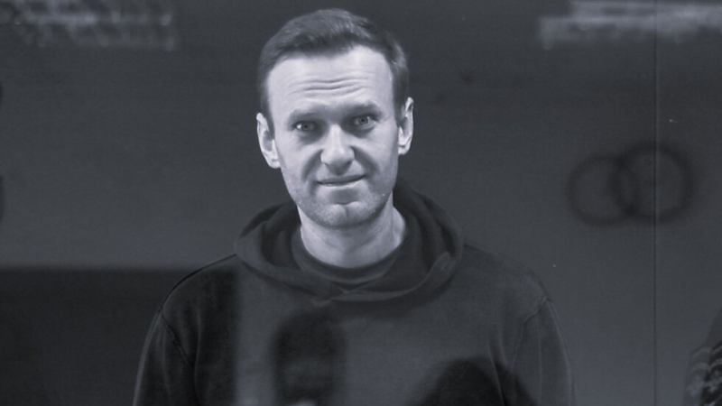 Говорителката на руския опозиционер Алексей Навални Кира Ярмиш потвърди днес