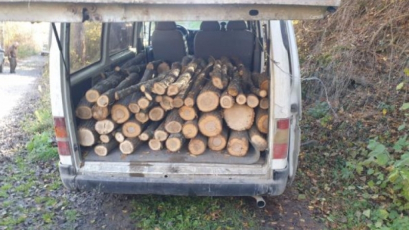Хванаха претоварени с дърва румънски бусове на Е 79 край видинско