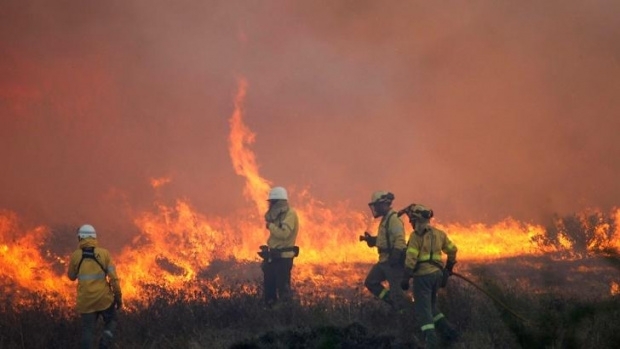 Около 100 000 души са евакуирани в Калифорния заради пожарите