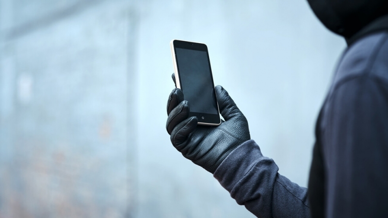 От сръбското министерство на образованието съобщиха че тази сутрин в