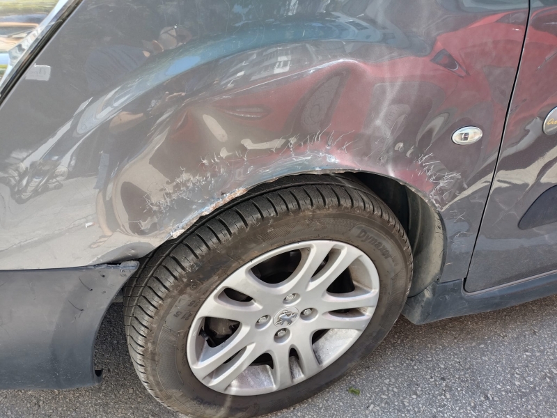 Фрапираща случка във Видин Бездомни кучета са наяли кола а