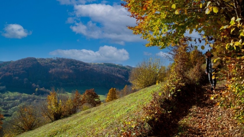 През нощта над по голямата част от страната облачността временно ще
